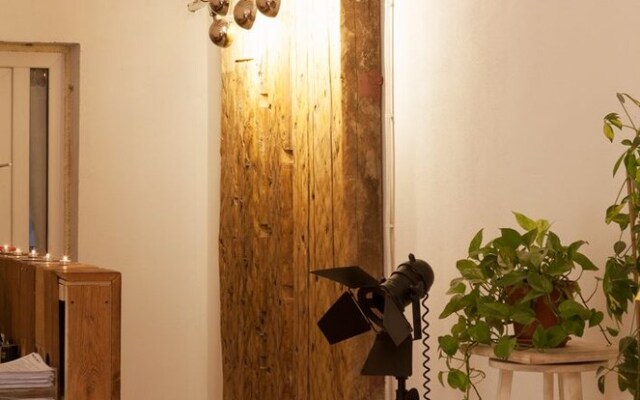 Hostel Petya and the Wolf - V.O.