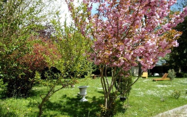 Top Meublés Locations