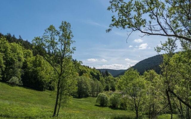 Luxus Ferienhaus Schwarzwald Dieboldsberg