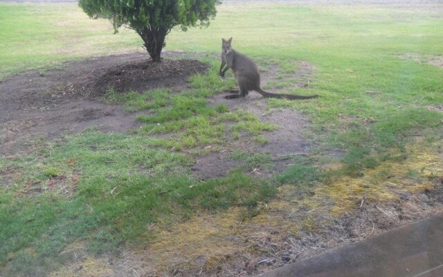 Motel Dimboola