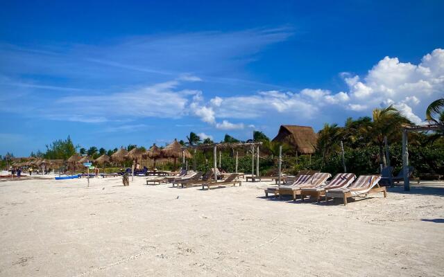 AKBAL Holbox