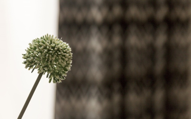 The Saint Stephen s Gardens Mansion VII