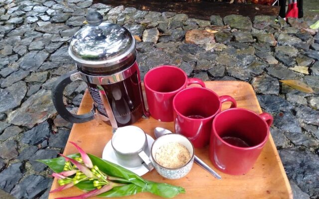 Sanctuaria Treehouses Busuanga