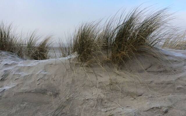 Lively Apartment in Norderney