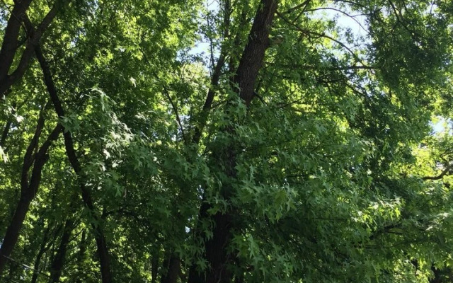 Ada Apart Otel Gocek