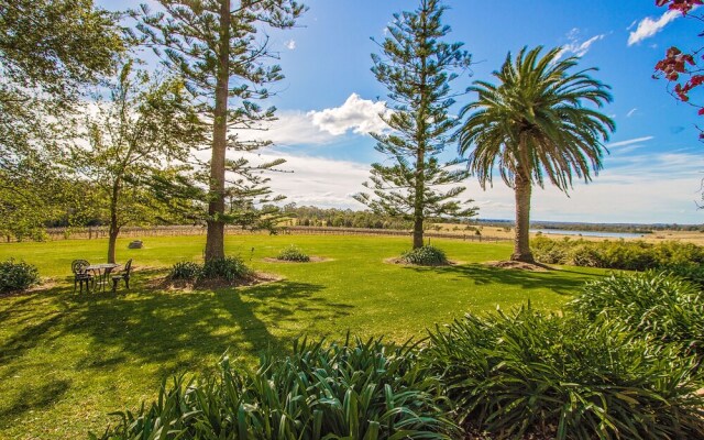 Cockfighters Ghost Vineyard