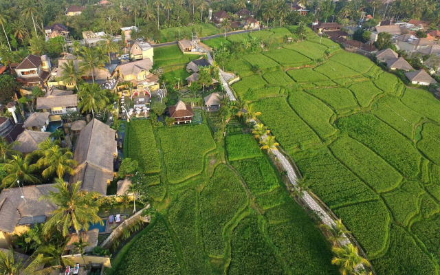 Курортный отель Wapa di Ume Ubud Resort & Spa