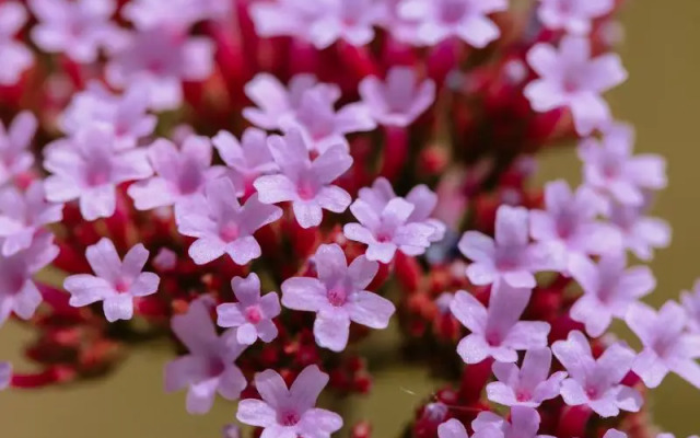 Your Nature Eco Resort