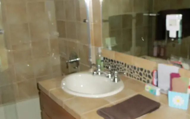 Black Bear 66 by Durango Red Cliff Properties