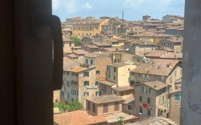 Top Floor - Franciosa