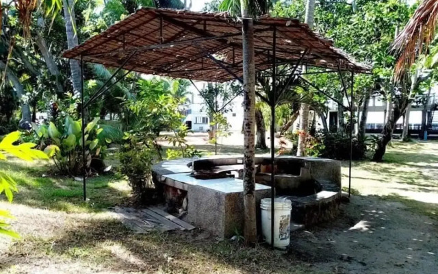 The Pelicans Castaway