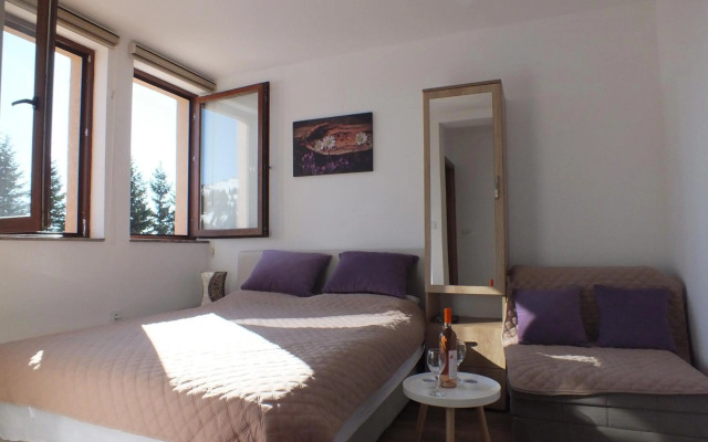 Suncani Breg - Studio 11