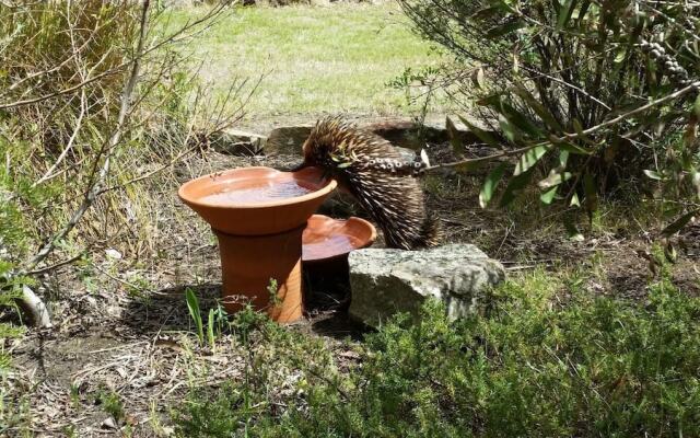 Wind Song Bed and Breakfast