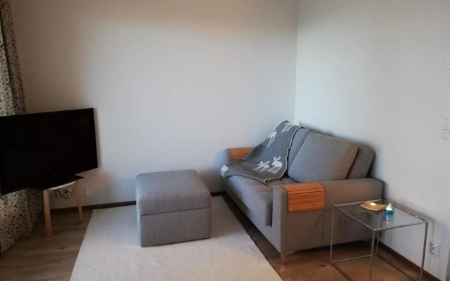 Arctic Aurora Luxury