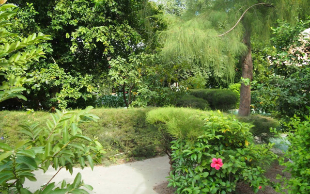 Footsteps Eco-Lodge