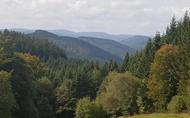 Ruime, gezellige vakantiewoning nabij Winterberg voor 2 tot 6 rustige natuurliefhebbers - Hotel in Schmallenberg - Photo 3