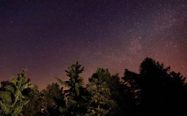 Weiss Comfortable Holiday Residence