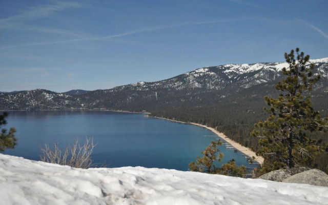 Tahoe Chaparral