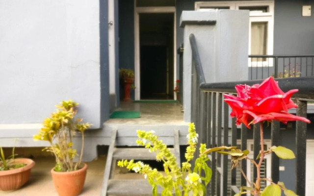 Sun Apartment & Guest House