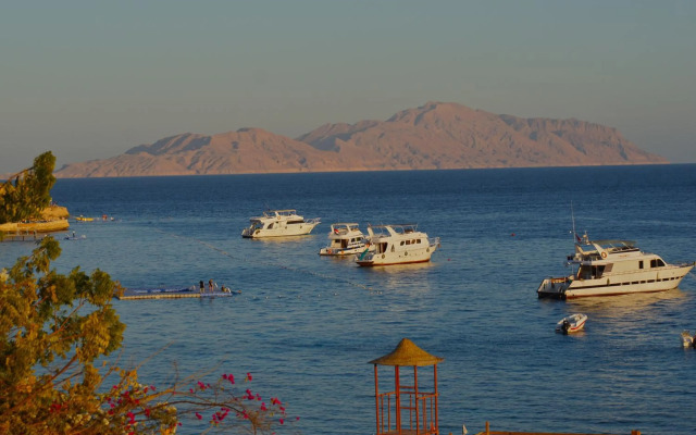 Umbi Sharks Bay Diving Village
