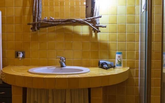 University B&B