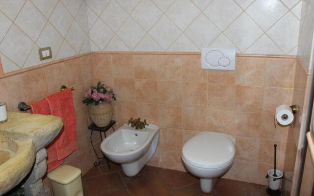 B&B Chorisia