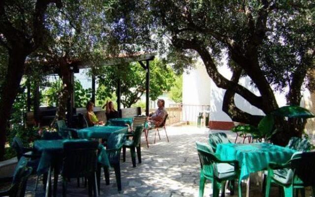 Pension Vice