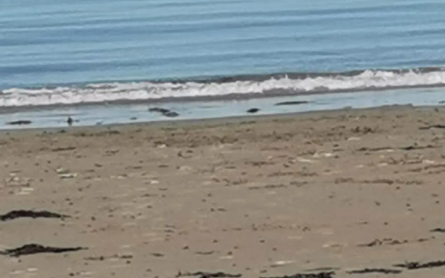 Sea and Mountain View Sunbeach Holiday Snowdonia