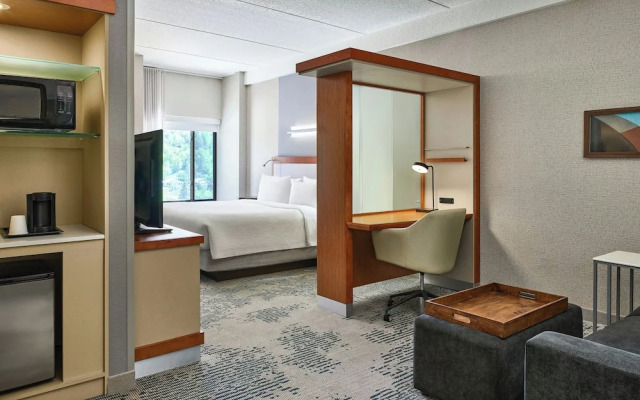 SpringHill Suites Deadwood