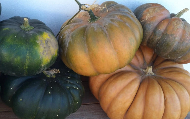 Logis Hotel Xoko-Goxoa