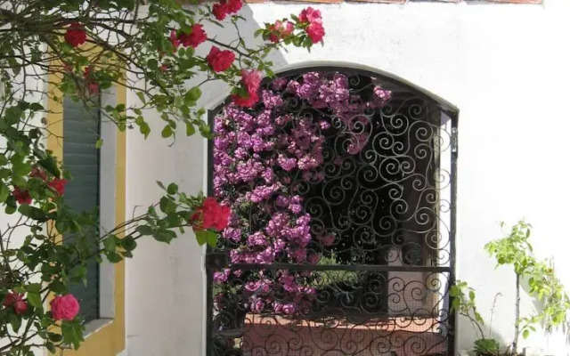 São Silvestre, Horse Farm