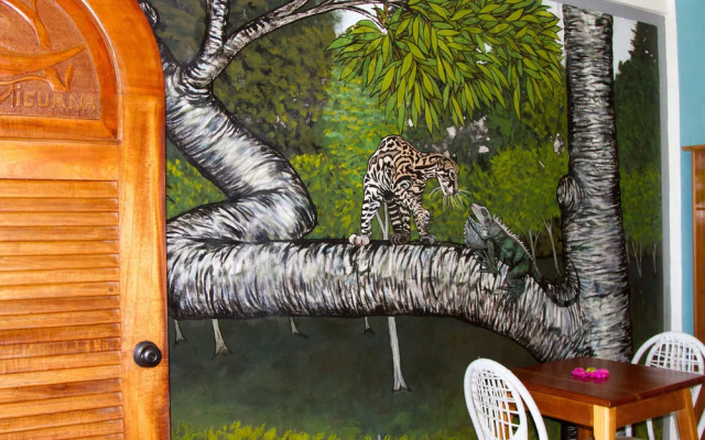 Lookout Inn Beach Rain forest Eco Lodge