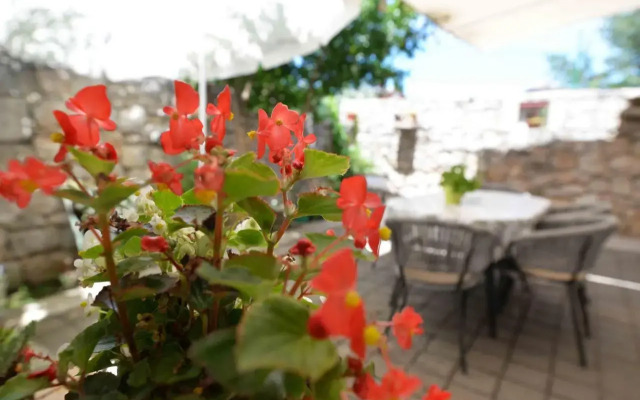 Apartment Stari Murter