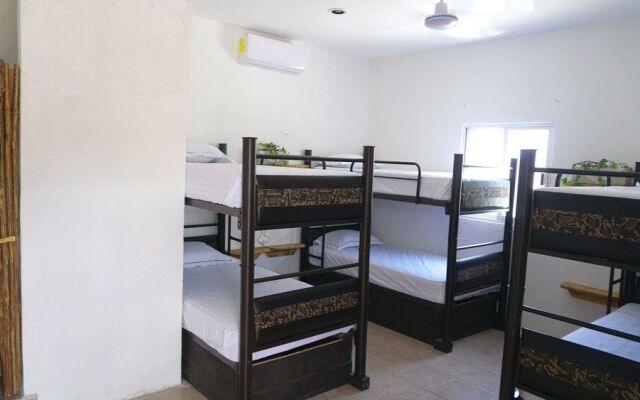 Coelum - Hostel