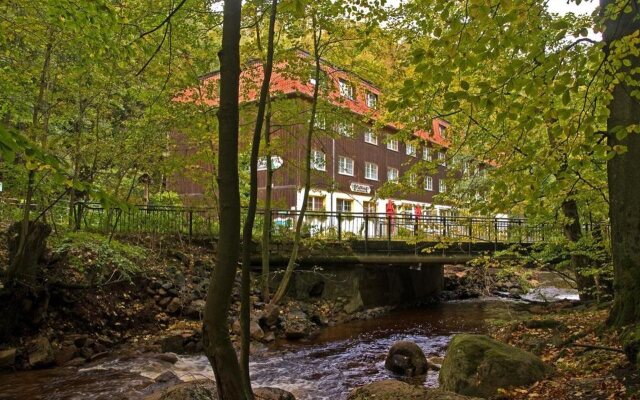 Waldhotel am Ilsestein