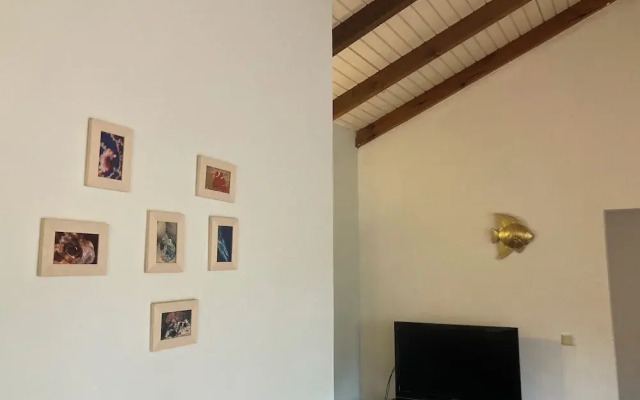 Mirador Apartments