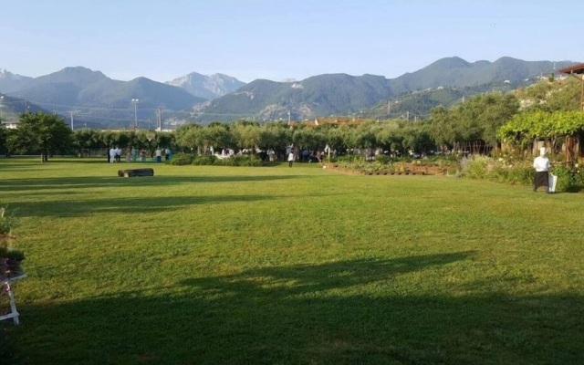 Olimagio