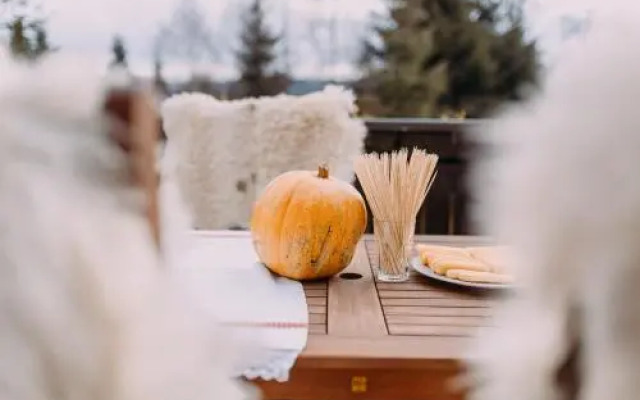 Pensiunea Alpin Belis