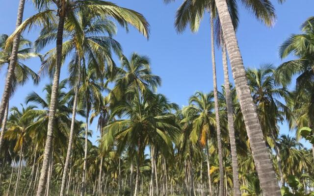 Playa Pikua Ecolodge