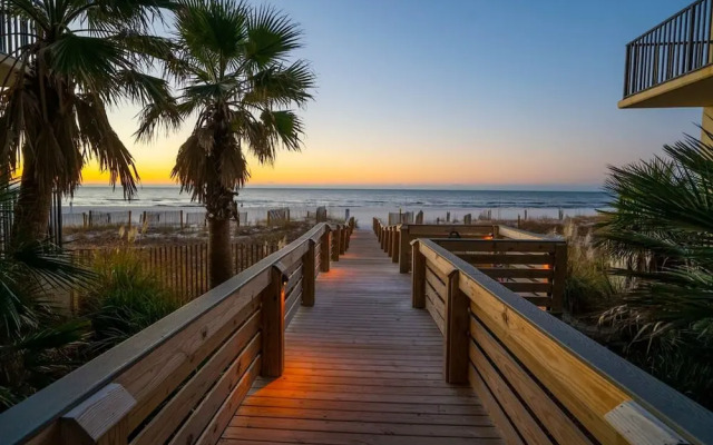 Palms 915- Premier Beachfront Condo