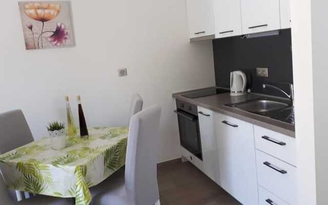 Apartments Šišević