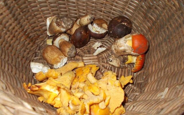 La Masseriola agriturismo