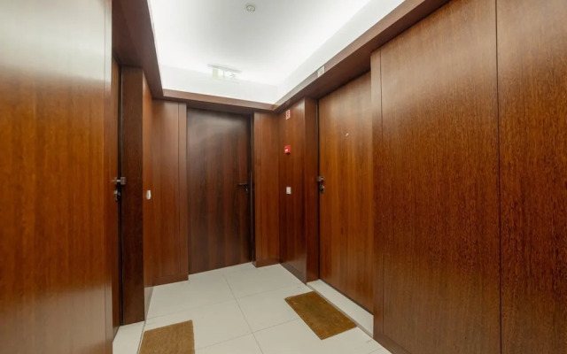 Modern Cedofeita by Homing