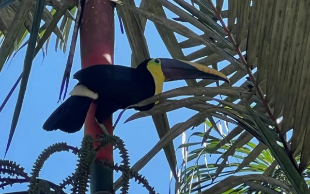 Palapa Hut Hostel & Camping