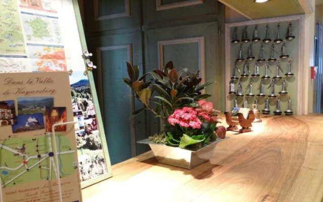 Hotel Restaurant Aux Bruyères