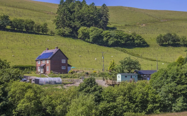 The Little Bunk House