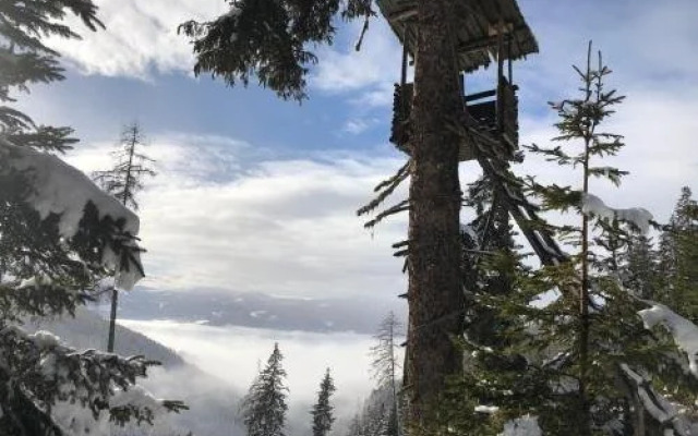 Almhütte Waldbauer