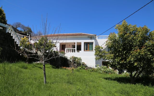 Charming villa with rich garden
