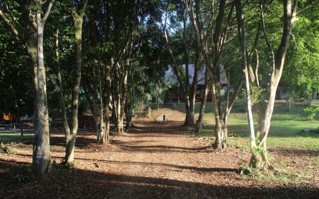 La Habana Amazon Reserve
