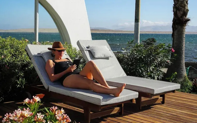 Atoq Paracas Reserva